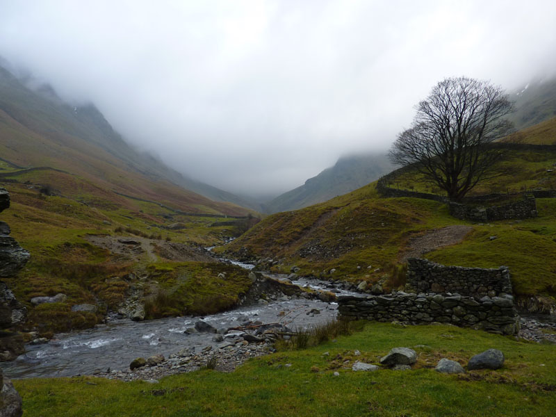 Pasture Beck